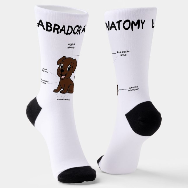Calcetines Anatomía de dibujos animados de chocolate de Labra (Angular)