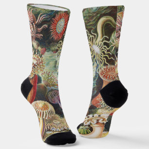 Calcetines Anémonas de Mar de Haeckel Arte Náutico de Vida Ma