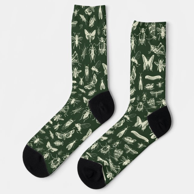 Calcetines Antiguos Insectos Científicos Crema y Verde (Izquierda)