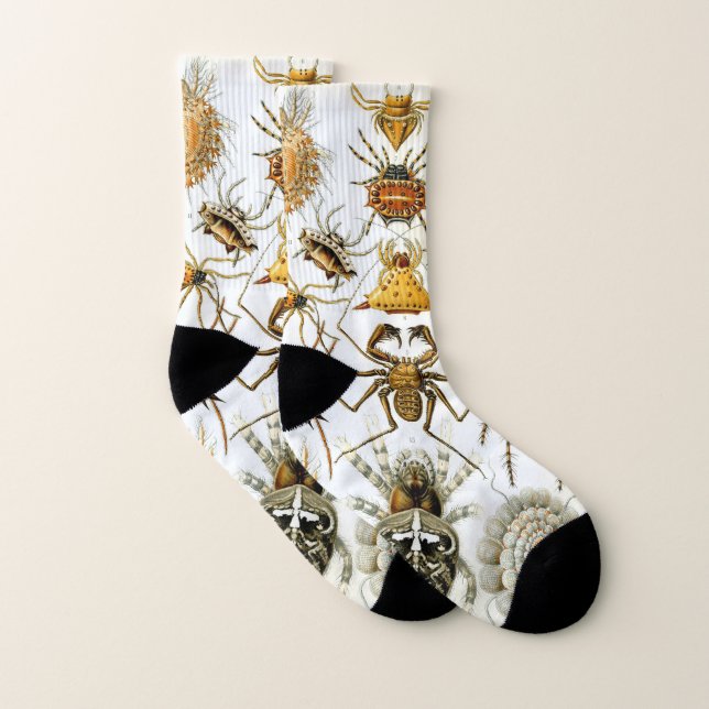 Calcetines Arañas o arácnidos de Ernst Haeckel (Par)