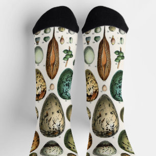 Calcetines Arte de huevo de pájaro vintage de Adolphe Millot