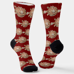 Calcetines Arte Náutico Vintage de Ernst Haeckel Caja Roja