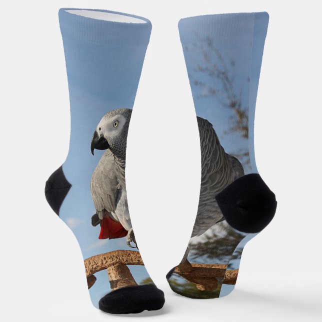 Calcetines Asombroso loro gris africano (Angular)