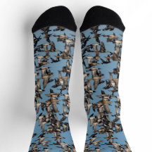 Asombrosos pollos de invierno en el vuelo