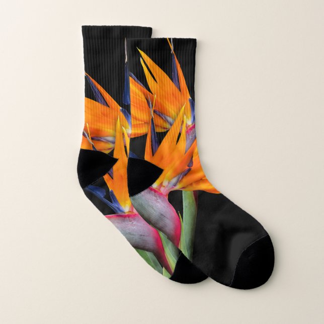 Calcetines Ave naranja de las flores del paraíso (Par)
