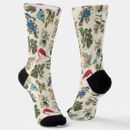 Calcetines Aves de John James Audubon