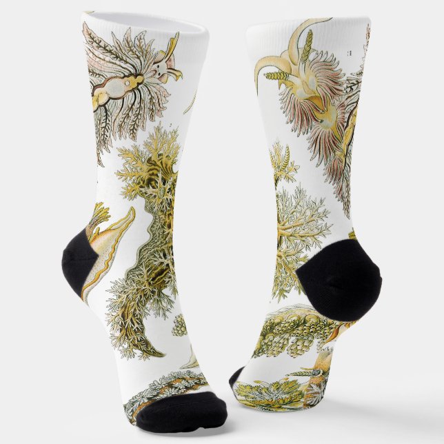 Calcetines Babosas marinas de Ernst Haeckel, Nudibranchia vin (Angular)