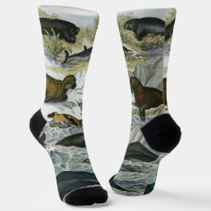 Calcetines Ballenas, focas y morsas, animales marinos vintage