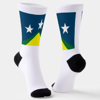 Calcetines bandera de la ciudad de Johnson City (Tennessee)