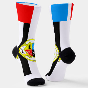 Calcetines Bandera de la ciudad de Knoxville (Tennessee)