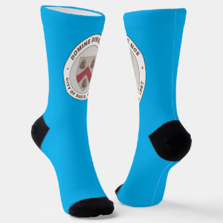 Calcetines bandera de la ciudad de Saco (Maine)