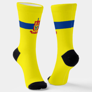 Calcetines Bandera de la ciudad de Saint Paul (Minnesota)