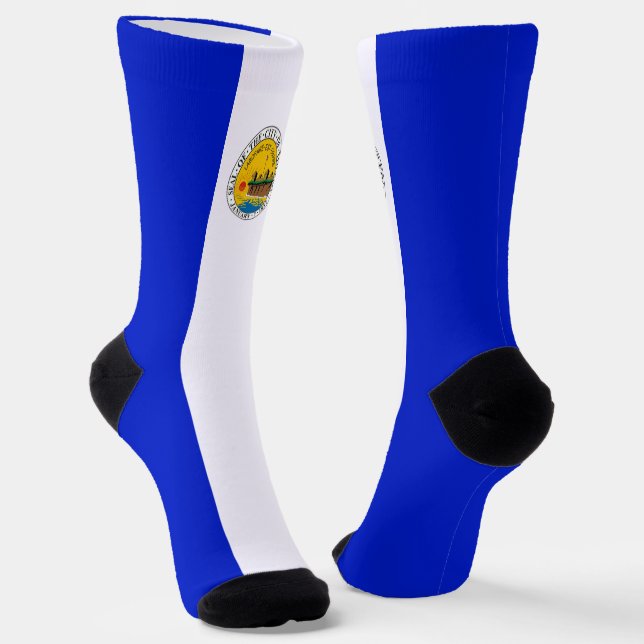 Calcetines Bandera de Toledo (Ohio) (Angular)