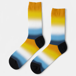 Calcetines Bandera del Orgullo AroAce con Gradiente