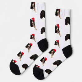 Calcetines Bernedoodle festivo y lindo con sombrero de Santa