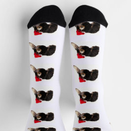 Calcetines Bernedoodle festivo y lindo con sombrero de Santa