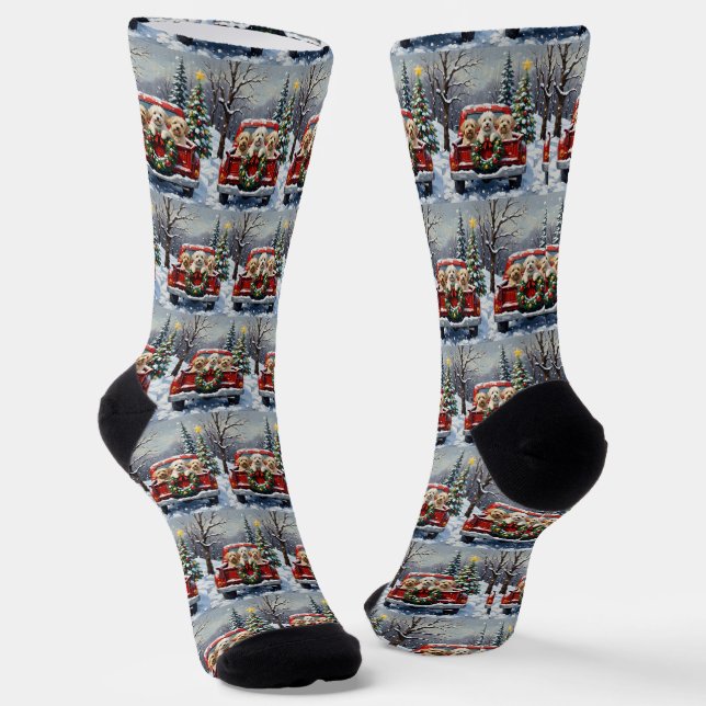 Calcetines Bichon Frise Christmas Red Truck Holiday (Angular)