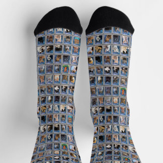 Calcetines Boring Group Cat Yearbook Socks