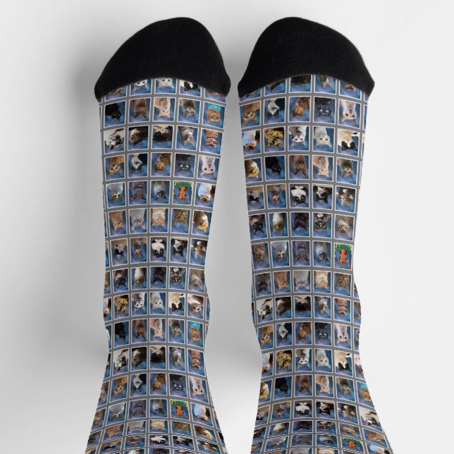 Calcetines Boring Group Cat Yearbook Socks (Arriba)