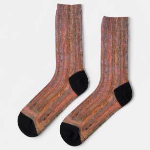 Calcetines Bosque de Abetos de Gustav Klimt Tannenwald Árbole