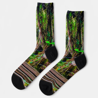 Calcetines Bosque Musgoso
