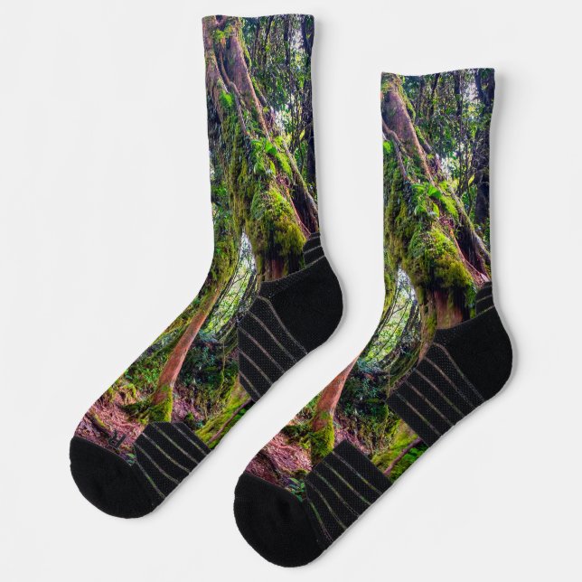 Calcetines Bosque Musgoso (Izquierda)