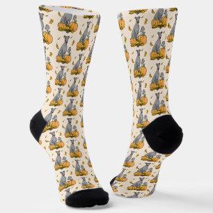 Calcetines Caída Greyhound (gris) Calabazas de perro deja div
