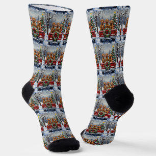 Calcetines Camioneta Roja de Navidad Vizsla Fiesta