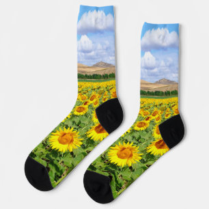 Calcetines Campo de girasol