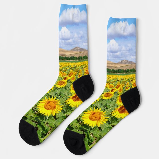 Calcetines Campo de girasol (Izquierda)