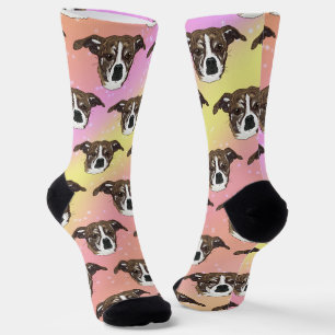 Calcetines Carleigh Dog