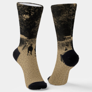 Calcetines Carreras de caballo fango de pista