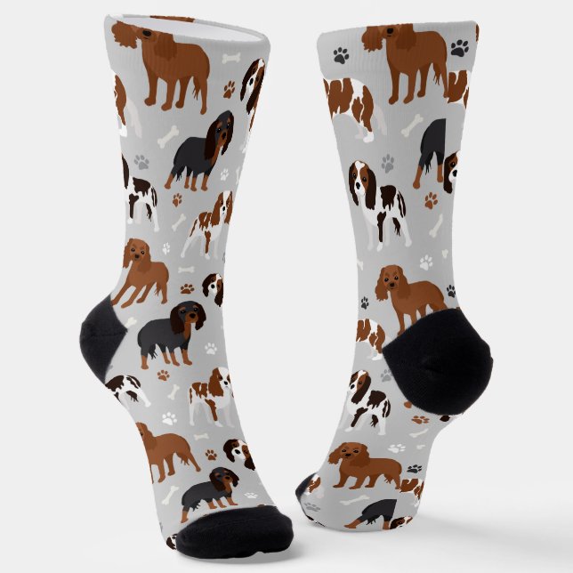 Calcetines Cavalier King Charles Spaniel Paws and Bones (Angular)