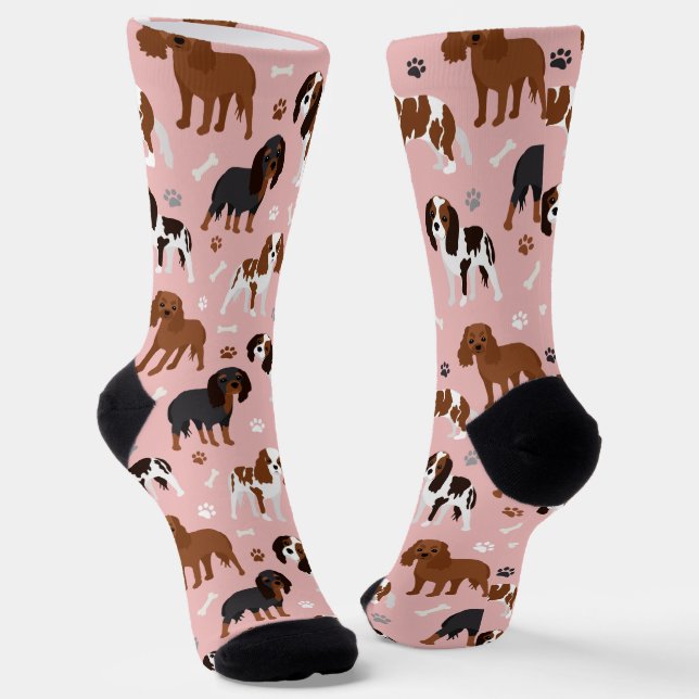 Calcetines Cavalier King Charles Spaniel Paws and Bones Socks (Angular)