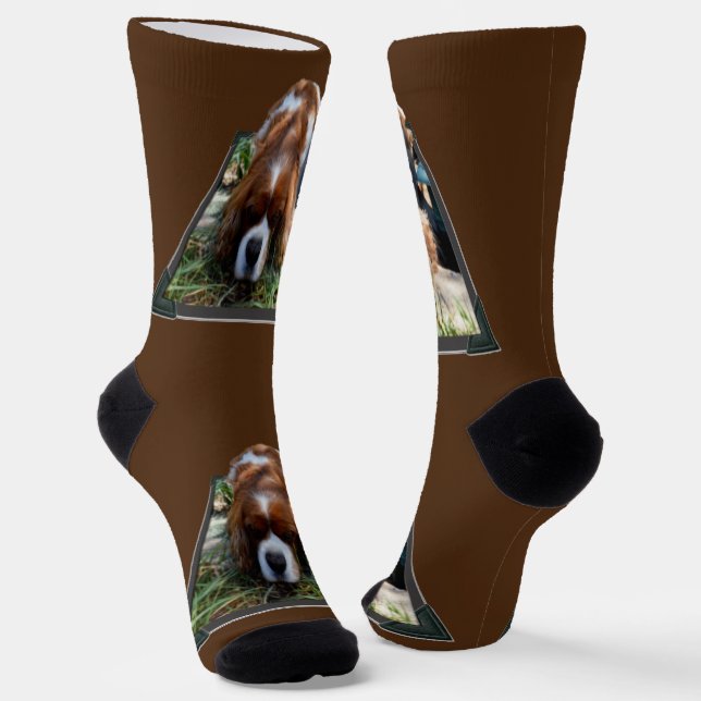 Calcetines Cavalier Spaniel Popout Art, Socks de tripulacione (Angular)
