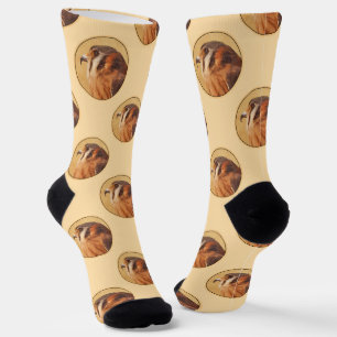 Calcetines Cernícalo americano Pintando Arte De Aves Salvajes