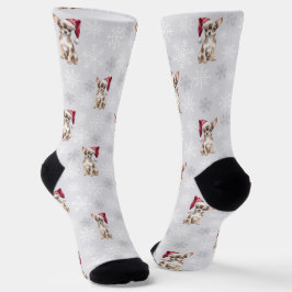 Calcetines Chihuahua Chi Dog en Santa Hat Grey
