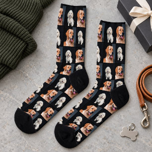 Calcetines Colage de Fotos de Mascotas Modernas para Hombres