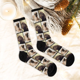 Calcetines Colage de rejilla de fotos de 2 perros modernos