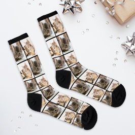 Calcetines Colage de rejilla moderno de 2 fotos de gatos