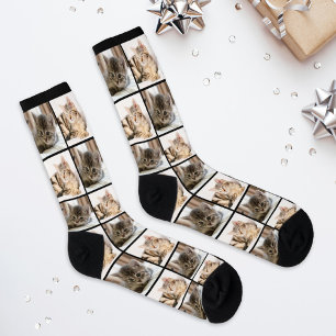 Calcetines Colage de rejilla moderno de 2 fotos de gatos