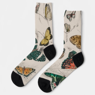 Calcetines Colección de mariposa Mariposas antiguas