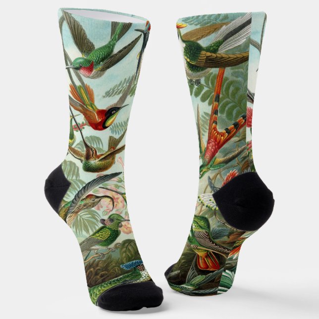 Calcetines Colibríes por Ernst Haeckel, Árboles de pájaros vi (Angular)