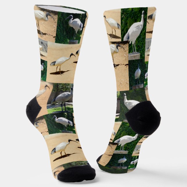 Calcetines Collage de fotos Bin Chicken, zócalos de la tripul (Angular)