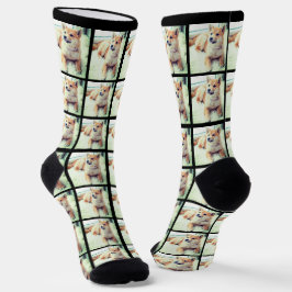 Calcetines collage de fotos de moda para personalizados