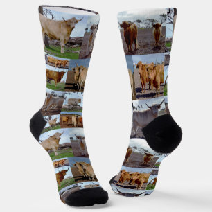 Calcetines Collage de fotos de vaca Highland, soplones de la