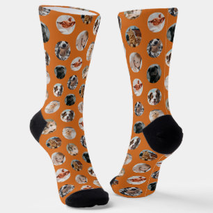 Calcetines Collage de mascotas personalizado de 8 fotos   Nar