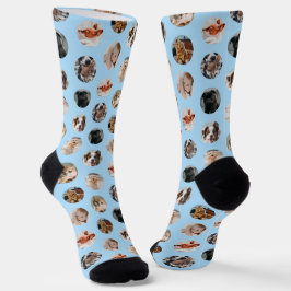Calcetines Collage personalizado Cute 8-Photo Mascota | Azul