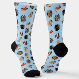 Calcetines Collage personalizado Cute 8-Photo Mascota   Azul 