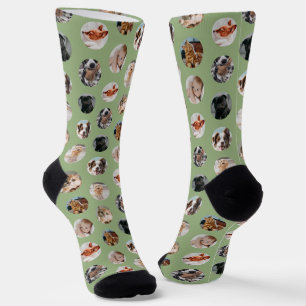 Calcetines Collage personalizado Cute 8-Photo Mascota   Sage 